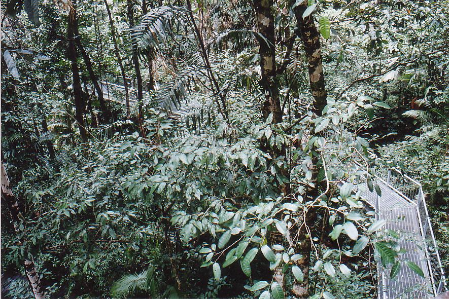 A3003786-空中步行通道